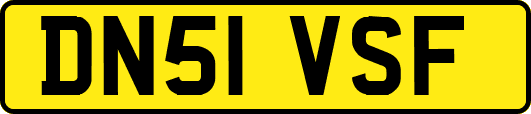 DN51VSF