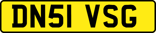 DN51VSG
