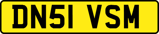 DN51VSM