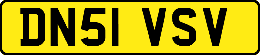 DN51VSV