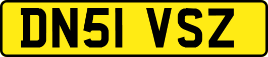 DN51VSZ