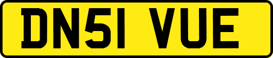 DN51VUE