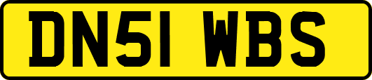 DN51WBS