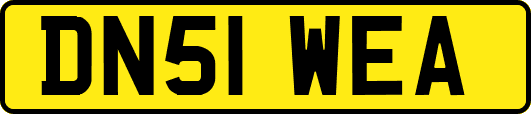 DN51WEA