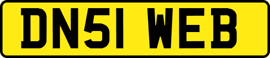 DN51WEB