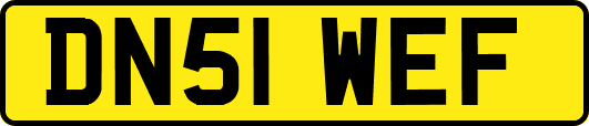 DN51WEF