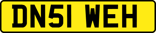 DN51WEH