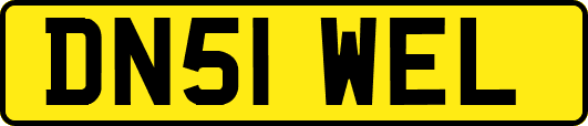 DN51WEL