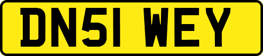 DN51WEY