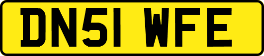 DN51WFE