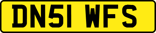 DN51WFS