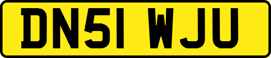 DN51WJU
