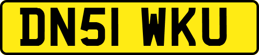 DN51WKU