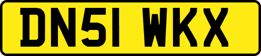 DN51WKX