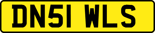DN51WLS