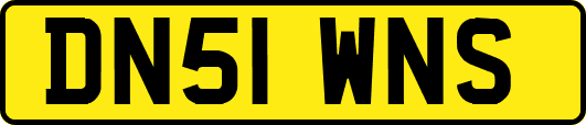 DN51WNS