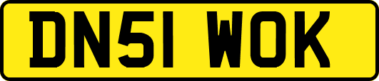 DN51WOK