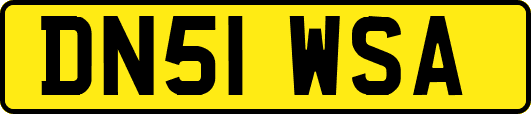 DN51WSA