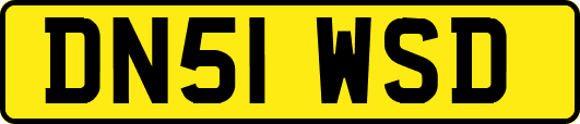 DN51WSD