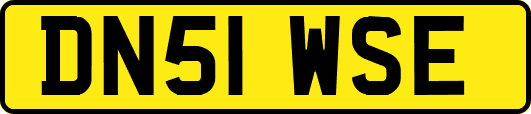 DN51WSE