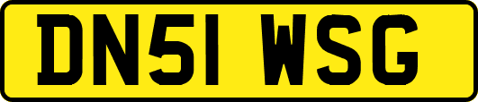 DN51WSG