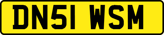 DN51WSM