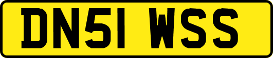 DN51WSS