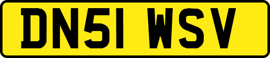 DN51WSV