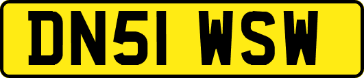 DN51WSW