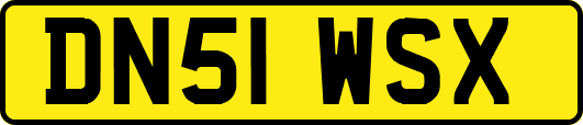 DN51WSX