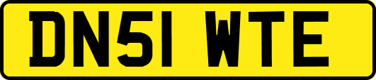 DN51WTE