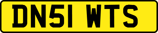 DN51WTS