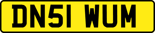 DN51WUM