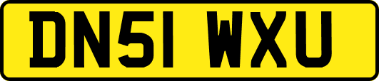 DN51WXU