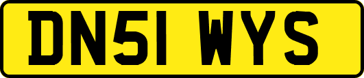 DN51WYS