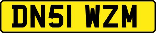 DN51WZM