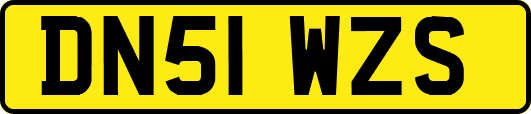 DN51WZS
