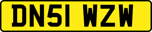 DN51WZW