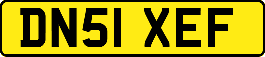 DN51XEF