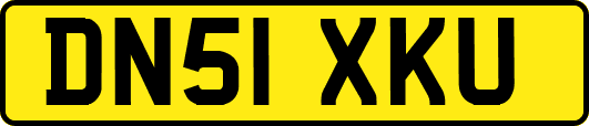 DN51XKU