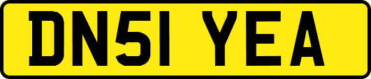 DN51YEA