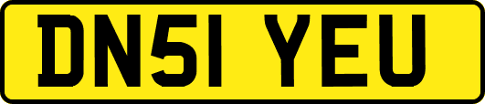 DN51YEU