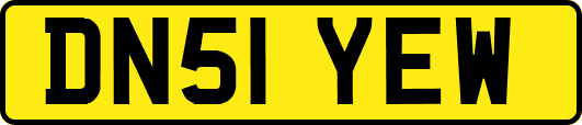 DN51YEW