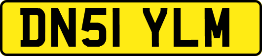 DN51YLM