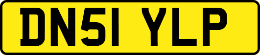 DN51YLP