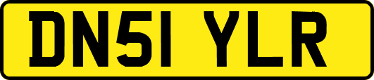 DN51YLR