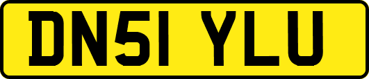 DN51YLU
