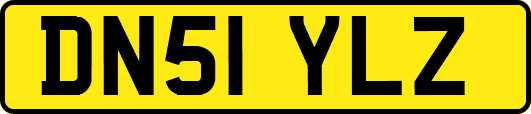 DN51YLZ