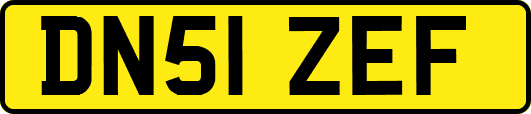 DN51ZEF