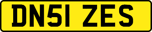 DN51ZES